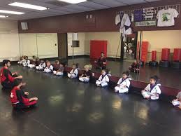 Image result for Hidden Dragon Karate-Do