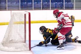 Image result for York University Street Hockey Club