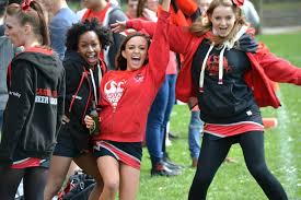 Image result for Cardiff Cobras