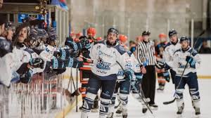 Image result for Telford Junior Ice Hockey Club