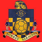 Image result for maiden Erlegh Subbuteo Club