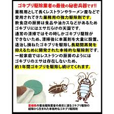 Image result for ゴキブリ報告所