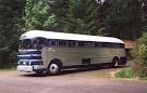 Greyhound Silversides Page