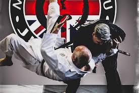 Image result for Mushin Kempo Jiu Jitsu Club