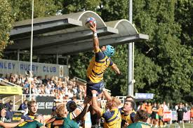 Image result for Henley Rugby Football Club