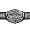 File:Wwe-champ-title-belt--ecw-championship.jpg - Pro Wrestling ...