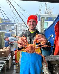 Image result for Lithodes maja