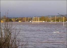 Image result for Tynedale Rfc