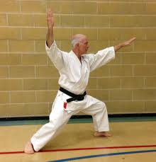 Image result for Haslemere Shotokan Karate Club