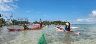 Image result for Paddletastic