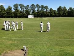 Image result for Letchworth Cricket Club