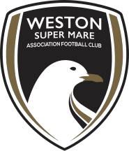 Image result for Weston Super Mare Cricket Club