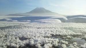 Attēlu rezultāti vaicājumam “Frost Flowers”