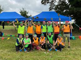 Image result for hurling