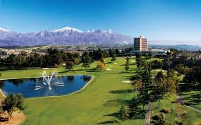 Image result for Southill Karate Club