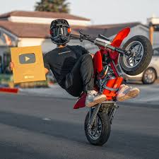 Image result for selvatici tehron