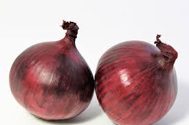 Image result for Zwiebeln