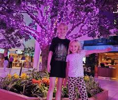 Image result for Preston Indoor Bowls Club