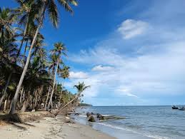 Image result for Erwadi