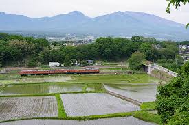 ネタ枯れ에 대한 이미지 검색결과