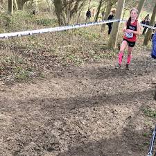 Image result for Ipswich Harriers