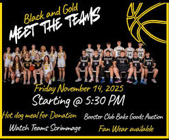 Image result for Everton Tigers Basketball Club