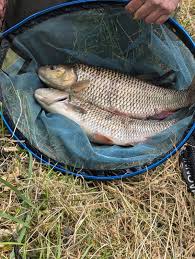 Image result for Plough Angling Society