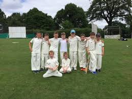 Image result for Salfords Cricket Club