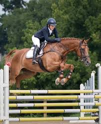 Image result for Weybridge Equestrian Centre