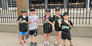 Image result for Dragons Junior Badminton Club