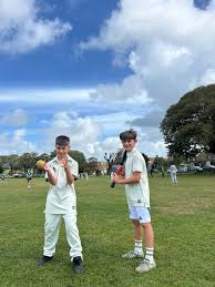 Image result for Southwick Cricket Club
