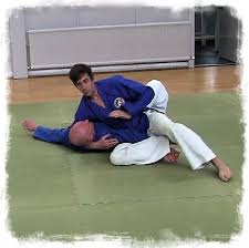 Image result for Bushin Kenpo Kai Schools