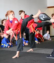 Image result for John Godwin's Wilmington Martial Arts Academy