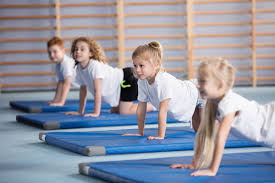 Image result for Tessaro Gymnastics Club