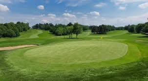 Image result for Dorking Golf Club