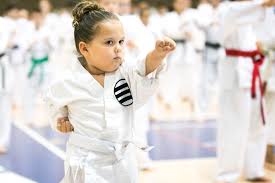 Image result for Burnham Karate Club