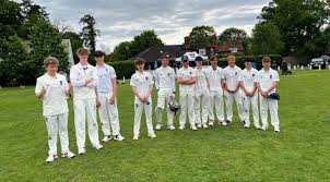 Image result for Leatherhead & Cobham Cc
