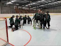 Image result for Vipers Roller Hockey Team