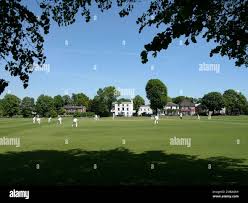 Image result for Mitcham Cricket Club