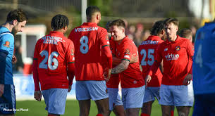 Image result for Ashford Tanners Handball Club