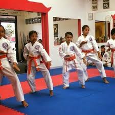 Image result for moray coast tang soo do