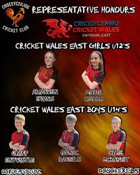 Image result for Croesyceiliog Cricket Club
