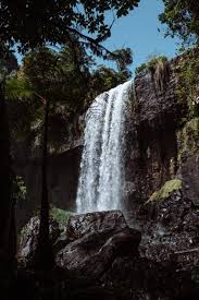 Image result for Atherton Devils