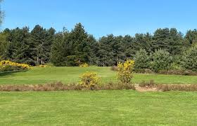 Image result for Oakmere Cricket Club