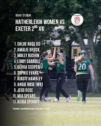 Image result for Hatherleigh Cricket Club