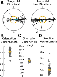 Image result for D.A.R.E!! Development + RadiSense III Z-Axis