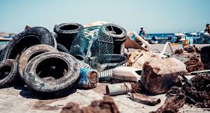 Image result for TAL Divers