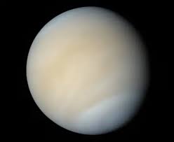Image result for venus