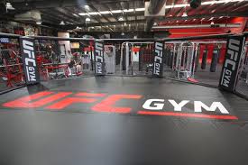 Image result for Gym in Watford