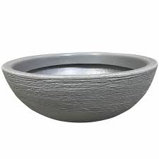 Image result for bacía